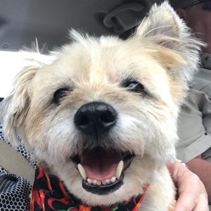 Meet your Posher, Cynthia